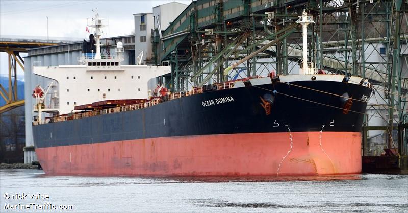 ocean domina (Bulk Carrier) - IMO 9286619, MMSI 311000141, Call Sign C6AS7 under the flag of Bahamas