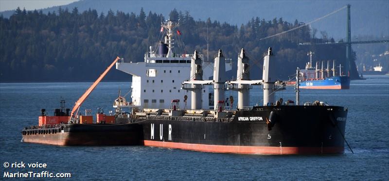 african griffon (Bulk Carrier) - IMO 9701205, MMSI 311000269, Call Sign C6BI2 under the flag of Bahamas