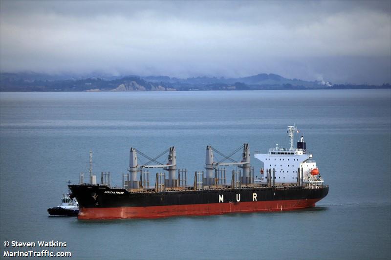 african macaw (Bulk Carrier) - IMO 9767431, MMSI 311000537, Call Sign C6CP6 under the flag of Bahamas