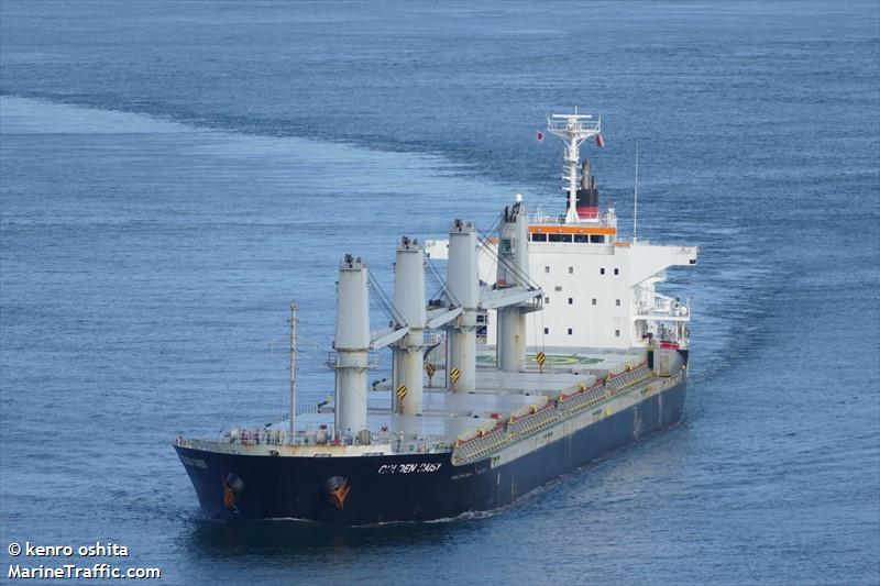 golden daisy (Bulk Carrier) - IMO 9691591, MMSI 353689000, Call Sign 3FFQ4 under the flag of Panama