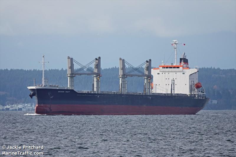 ocean tact (Bulk Carrier) - IMO 9864992, MMSI 353720000, Call Sign 3FZZ under the flag of Panama