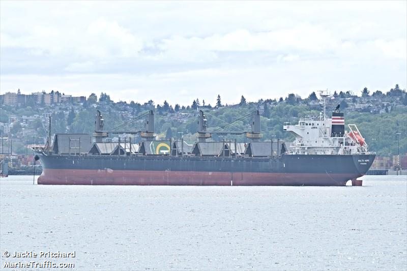 malto hope (Bulk Carrier) - IMO 9660035, MMSI 371372000, Call Sign 3FDP4 under the flag of Panama