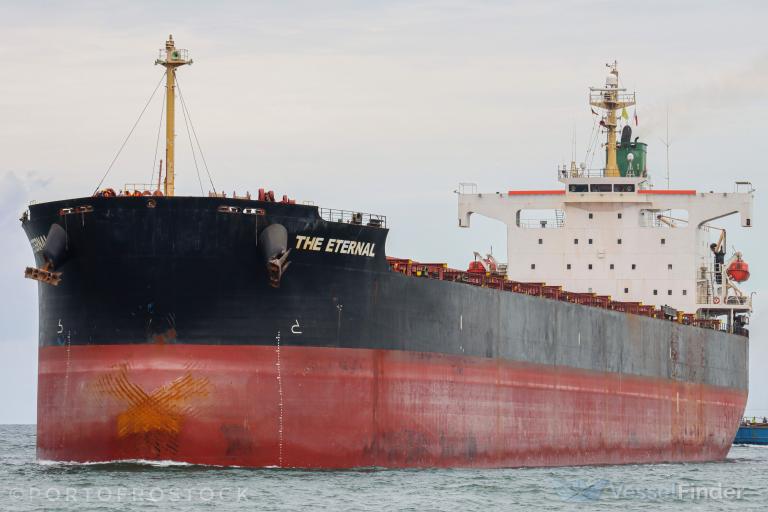 the eternal (Bulk Carrier) - IMO 9344069, MMSI 372787000, Call Sign 3EKP8 under the flag of Panama