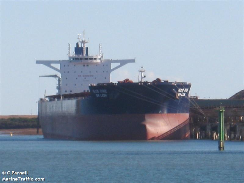 sm lion (Bulk Carrier) - IMO 9723899, MMSI 374382000, Call Sign 3EKG8 under the flag of Panama