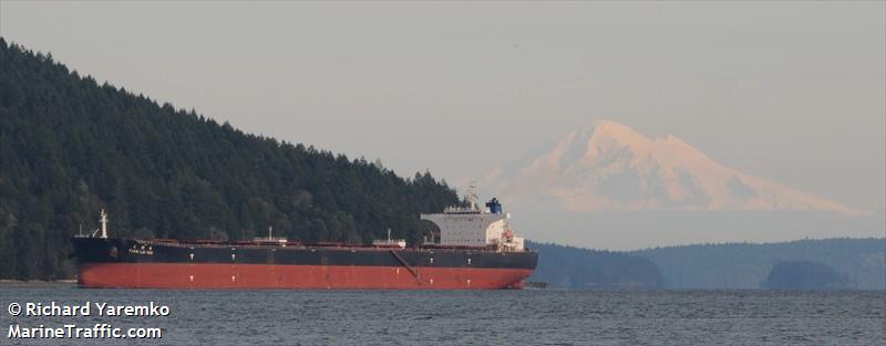 tian lu hai (Bulk Carrier) - IMO 9298480, MMSI 413099000, Call Sign BOIG under the flag of China