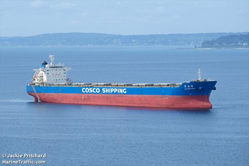 cui ping feng (Bulk Carrier) - IMO 9523172, MMSI 413192000, Call Sign BRPE under the flag of China