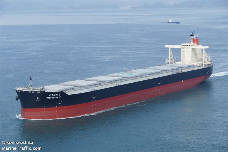 tachibana 2 (Bulk Carrier) - IMO 9817468, MMSI 431659000, Call Sign 7KGK under the flag of Japan