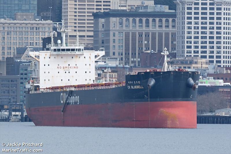 ck bluebell (Bulk Carrier) - IMO 9595876, MMSI 441823000, Call Sign DSRG4 under the flag of Korea