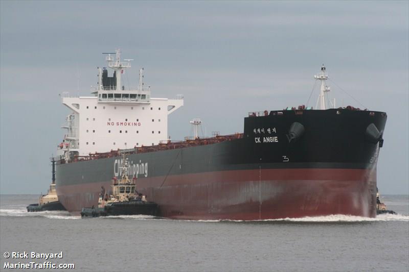 ck angie (Bulk Carrier) - IMO 9595864, MMSI 441824000, Call Sign DSRG5 under the flag of Korea