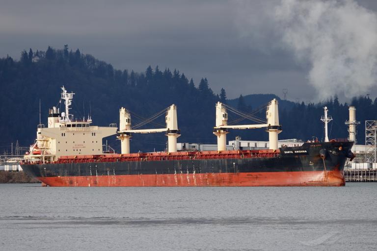 darya krishna (Bulk Carrier) - IMO 9728370, MMSI 477045400, Call Sign VRQT9 under the flag of Hong Kong