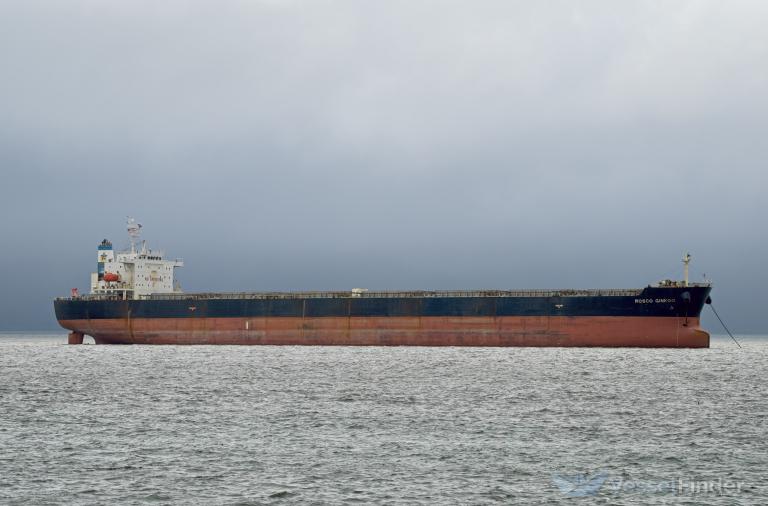 rosco ginkgo (Bulk Carrier) - IMO 9330898, MMSI 477742400, Call Sign VRGP4 under the flag of Hong Kong