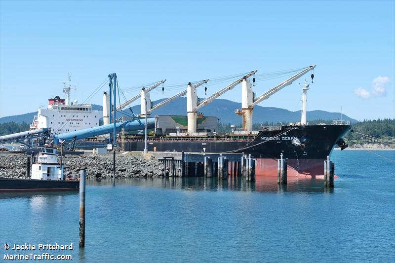 hongxin ocean (Bulk Carrier) - IMO 9660279, MMSI 477766700, Call Sign VRKO2 under the flag of Hong Kong