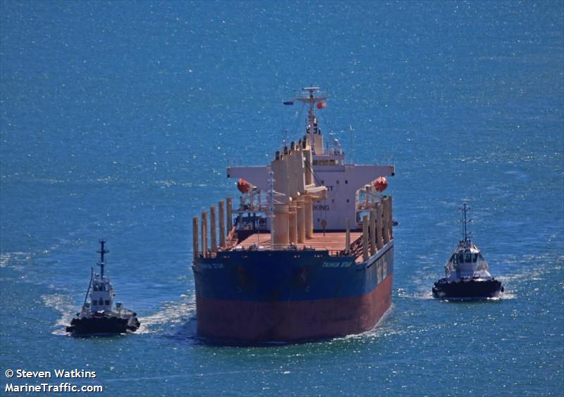 taihua star (Bulk Carrier) - IMO 9384851, MMSI 477768700, Call Sign VRCT4 under the flag of Hong Kong