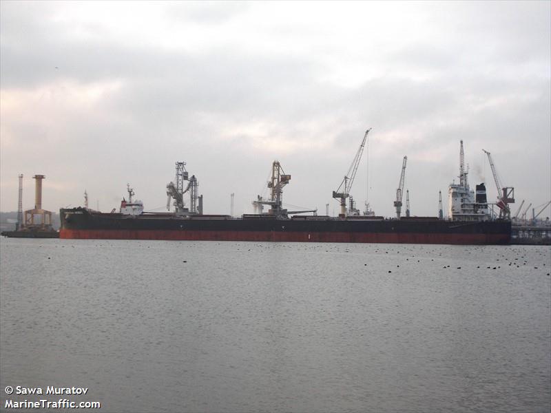 theresa hebei (Bulk Carrier) - IMO 9591832, MMSI 477792400, Call Sign VRKB4 under the flag of Hong Kong