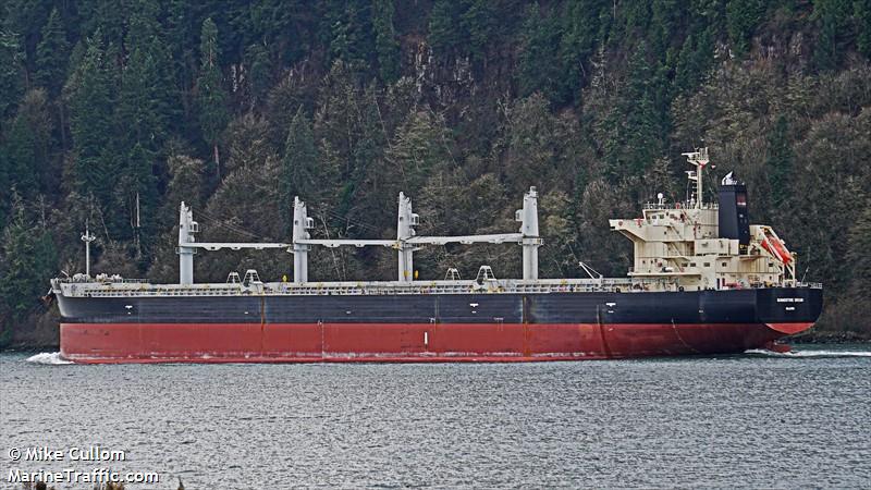 globe aliki (Bulk Carrier) - IMO 9687100, MMSI 538005357, Call Sign V7DA2 under the flag of Marshall Islands