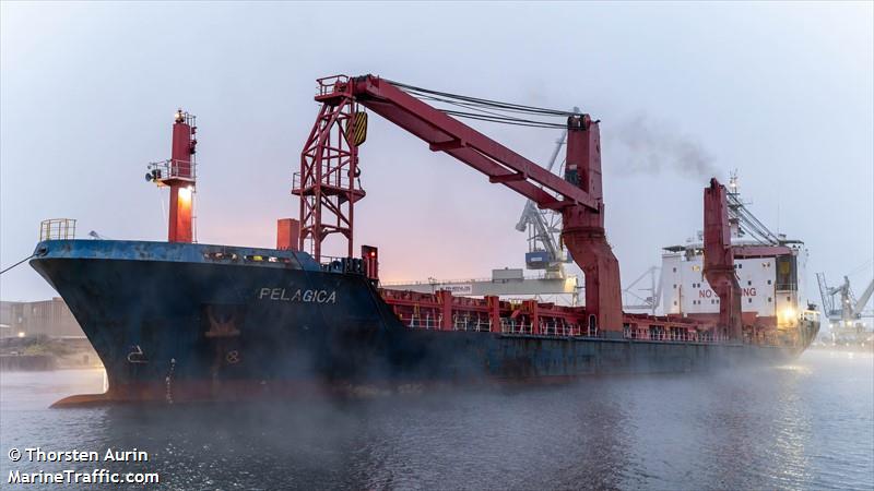 pelagica (General Cargo Ship) - IMO 9453781, MMSI 566222000, Call Sign 9V8834 under the flag of Singapore