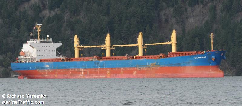 vinalines brave (Bulk Carrier) - IMO 9405459, MMSI 574000840, Call Sign 3WBV9 under the flag of Vietnam