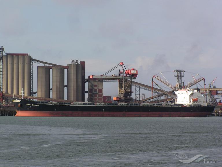 tycoon (Bulk Carrier) - IMO 9215543, MMSI 636015499, Call Sign D5BC9 under the flag of Liberia