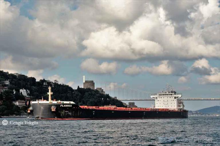 flaminia (Bulk Carrier) - IMO 9835953, MMSI 636018215, Call Sign D5OR3 under the flag of Liberia