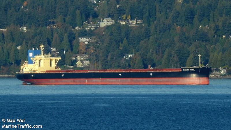 sakura angel (Bulk Carrier) - IMO 9875252, MMSI 636020141, Call Sign D5XW4 under the flag of Liberia