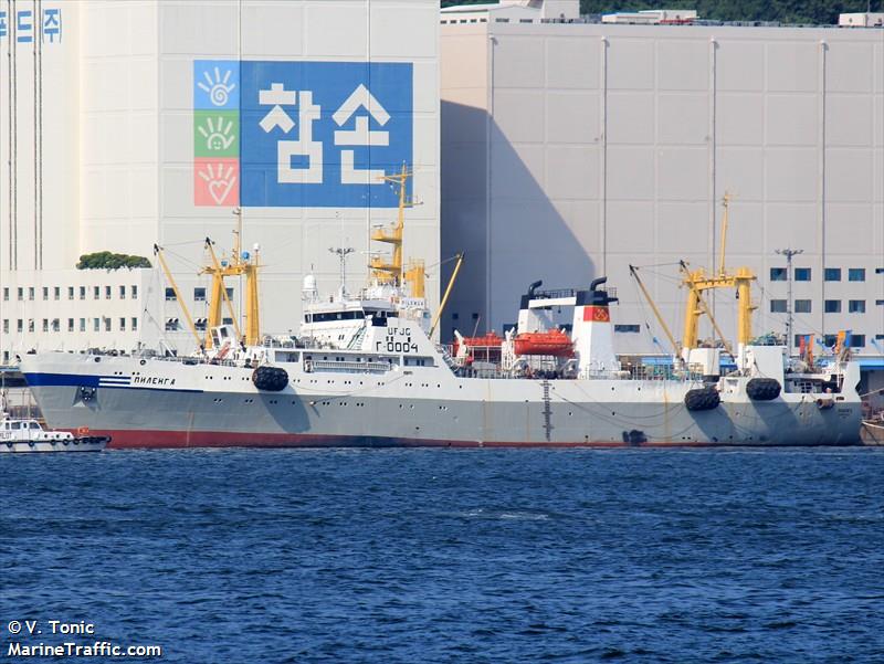 pilenga (Fish Factory Ship) - IMO 9101003, MMSI 273890710, Call Sign UFJG under the flag of Russia