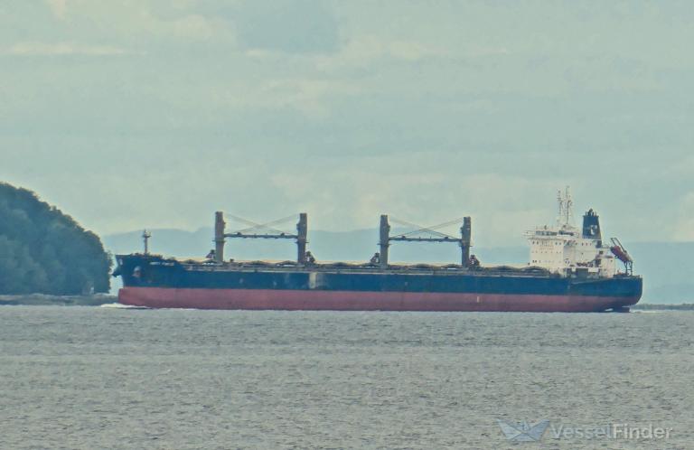 unity force (Bulk Carrier) - IMO 9726023, MMSI 311000400, Call Sign C6BY4 under the flag of Bahamas