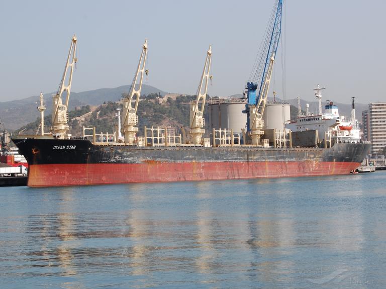 ocean great (Bulk Carrier) - IMO 9060223, MMSI 352347000, Call Sign 3FNP3 under the flag of Panama