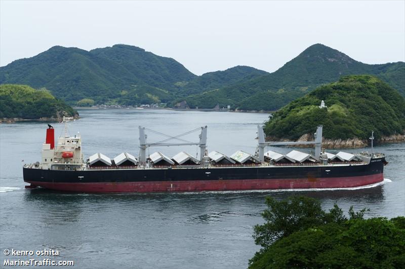 earth ocean (Bulk Carrier) - IMO 9687069, MMSI 353321000, Call Sign 3FFK6 under the flag of Panama