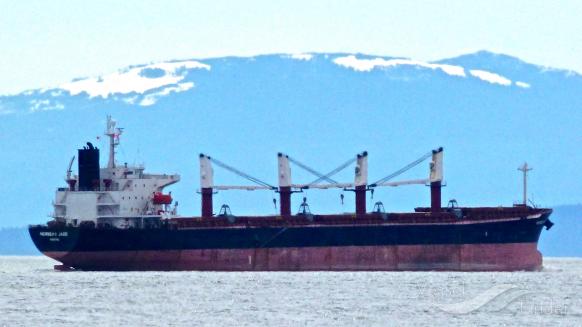 newseas jade (Bulk Carrier) - IMO 9288485, MMSI 356088000, Call Sign 3EAI5 under the flag of Panama