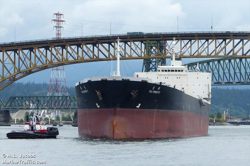 charm loong (Bulk Carrier) - IMO 9218272, MMSI 357071000, Call Sign H3WU under the flag of Panama