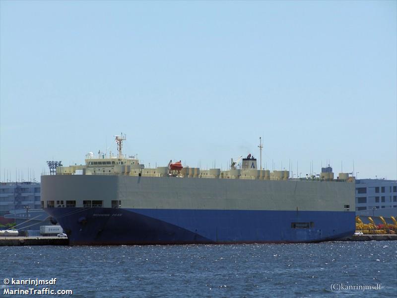 mv brave (Bulk Carrier) - IMO 9181027, MMSI 357886000, Call Sign 3FOP9 under the flag of Panama
