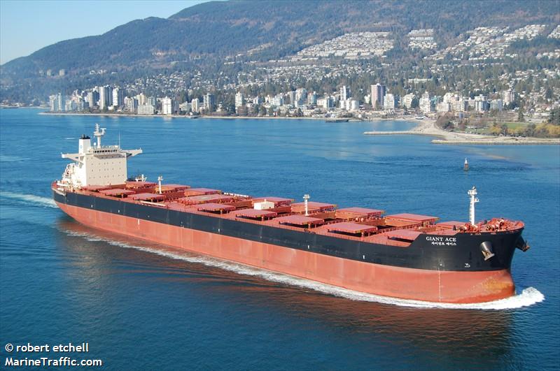 giant ace (Bulk Carrier) - IMO 9501851, MMSI 370640000, Call Sign 3EVK under the flag of Panama