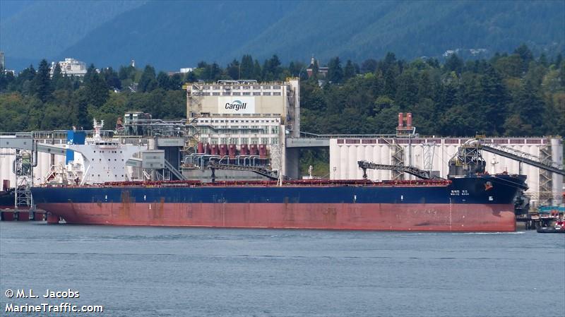 white rose (Bulk Carrier) - IMO 9324502, MMSI 371954000, Call Sign 3EEW7 under the flag of Panama
