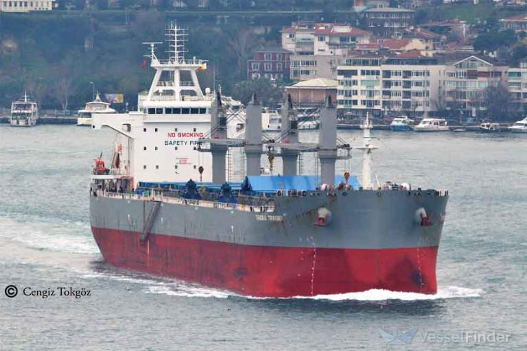 tendra trader (Bulk Carrier) - IMO 9863821, MMSI 374211000, Call Sign 3FIA7 under the flag of Panama