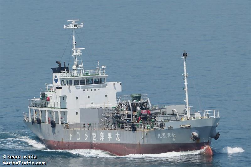 sinbungomaru (Cargo ship) - IMO , MMSI 431002439, Call Sign JD3184 under the flag of Japan