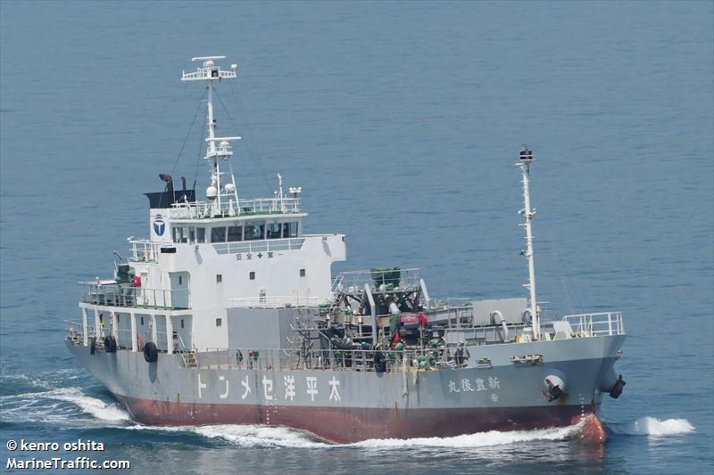 sinbungomaru (Cargo ship) - IMO , MMSI 431002439, Call Sign JD3184 under the flag of Japan