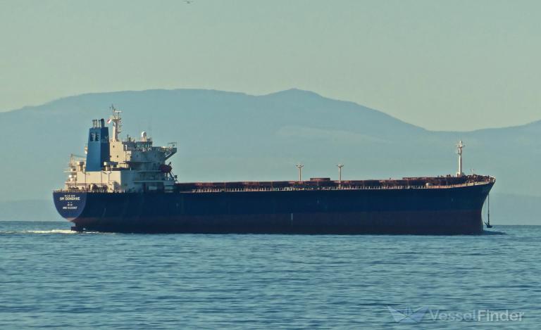 sm donghae (Bulk Carrier) - IMO 9225067, MMSI 441286000, Call Sign D7VG under the flag of Korea