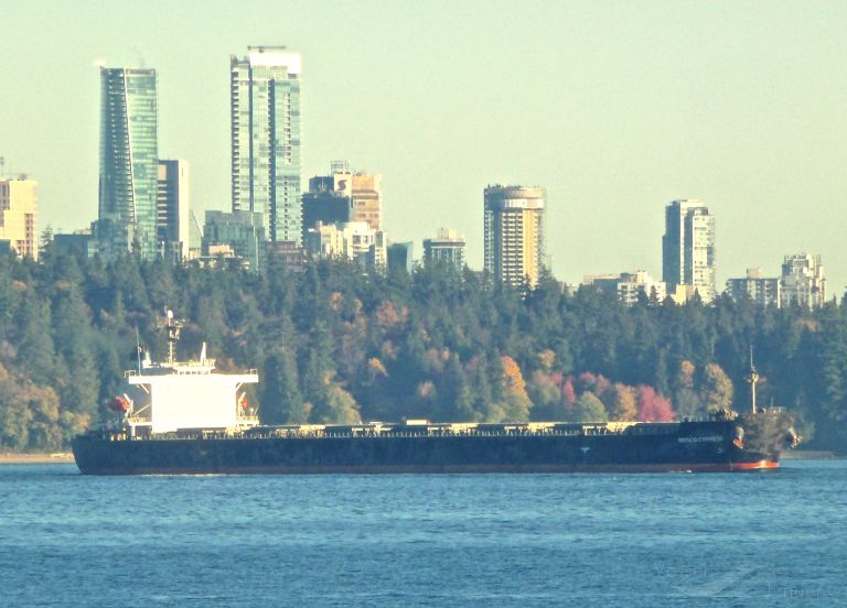 rosco cypress (Bulk Carrier) - IMO 9288538, MMSI 477360200, Call Sign VRAB9 under the flag of Hong Kong