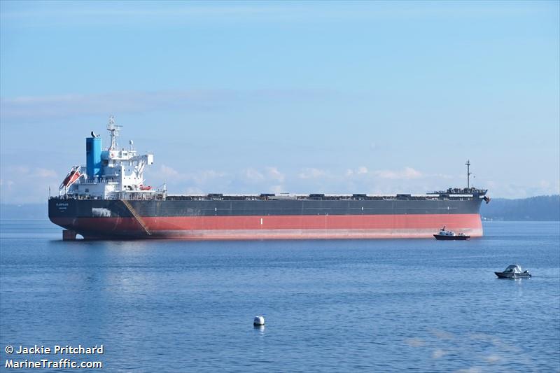 plainpalais (Bulk Carrier) - IMO 9739032, MMSI 563115700, Call Sign 9V5564 under the flag of Singapore