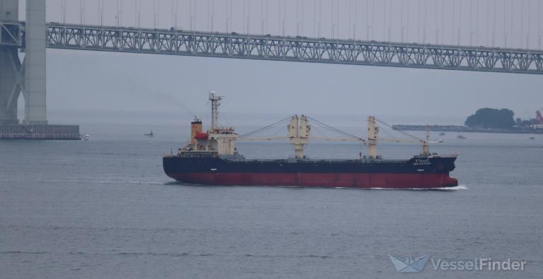 sea victory (Bulk Carrier) - IMO 9355111, MMSI 567503000, Call Sign HSB4969 under the flag of Thailand