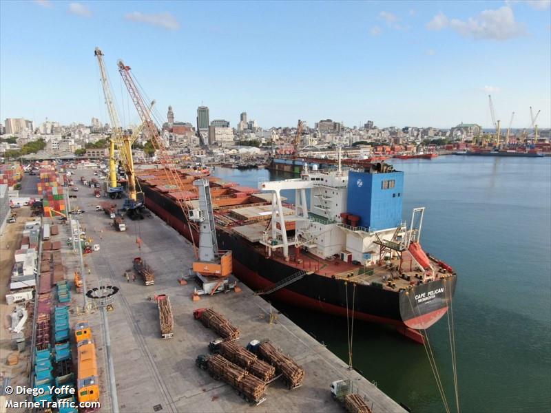 cape pelican (Bulk Carrier) - IMO 9650781, MMSI 636020235, Call Sign D5YG7 under the flag of Liberia