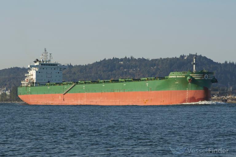 euripides graecia (Bulk Carrier) - IMO 9843742, MMSI 209691000, Call Sign 5BHT5 under the flag of Cyprus