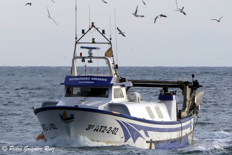 hernandez aguado (Fishing vessel) - IMO , MMSI 224064450, Call Sign EA5493 under the flag of Spain