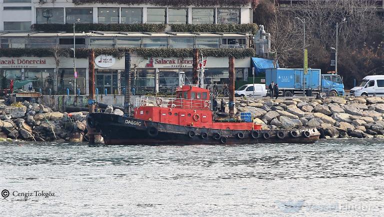 dalgic (Tug) - IMO 9099999, MMSI 271043318, Call Sign TC9115 under the flag of Turkey