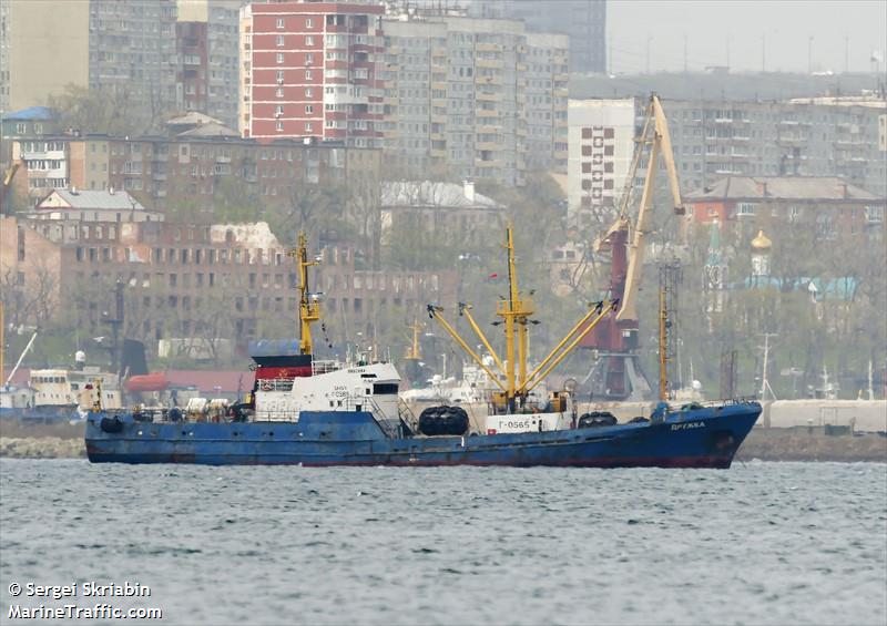 druzhba (Fish Carrier) - IMO 8730089, MMSI 273895510, Call Sign UHSV under the flag of Russia