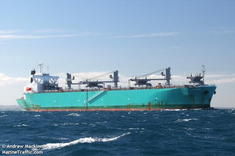 pax silva (Wood Chips Carrier) - IMO 9316919, MMSI 351377000, Call Sign 3ENF2 under the flag of Panama