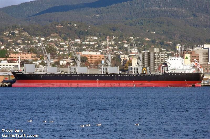 pacific hope (Bulk Carrier) - IMO 9605047, MMSI 351849000, Call Sign 3FLH6 under the flag of Panama