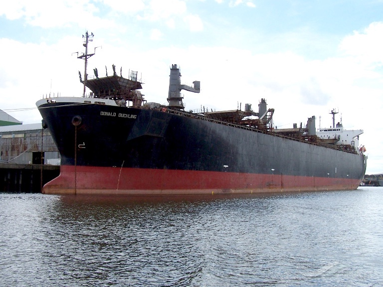 hao hung 666 (Wood Chips Carrier) - IMO 9137961, MMSI 352108000, Call Sign 3EUQ7 under the flag of Panama