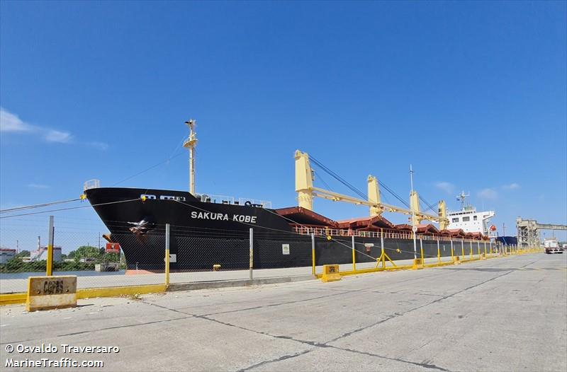sakura kobe (General Cargo Ship) - IMO 9473688, MMSI 354561000, Call Sign H8QN under the flag of Panama
