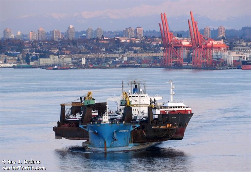 development way (Heavy Load Carrier) - IMO 8124785, MMSI 354900000, Call Sign 3FXZ4 under the flag of Panama